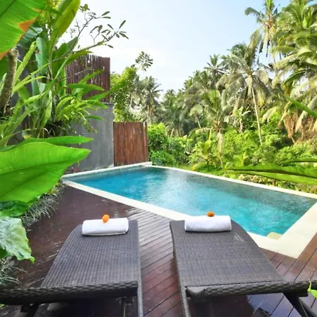 Romance Forest View 2 Bedroom Private Pool Villa Zn21